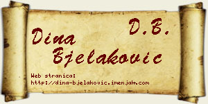 Dina Bjelaković vizit kartica